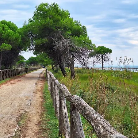 Bright Sea Front With Terrace-beahost بيبيوني